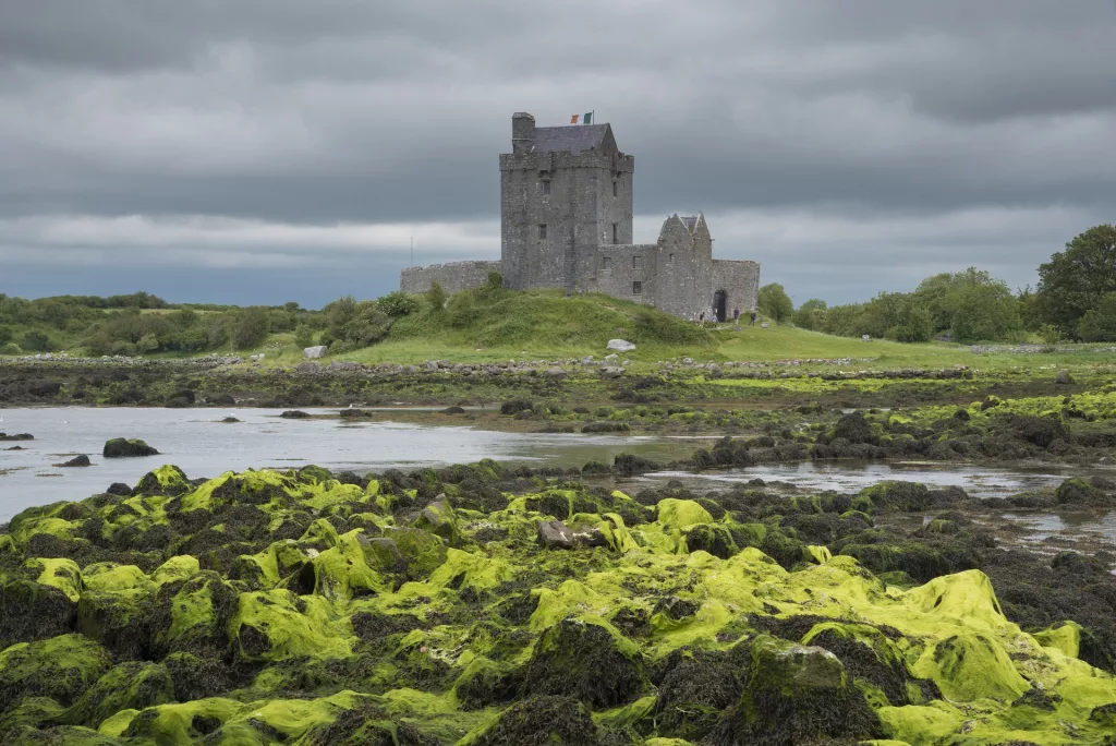 dunguaire castle kinvarra county galway