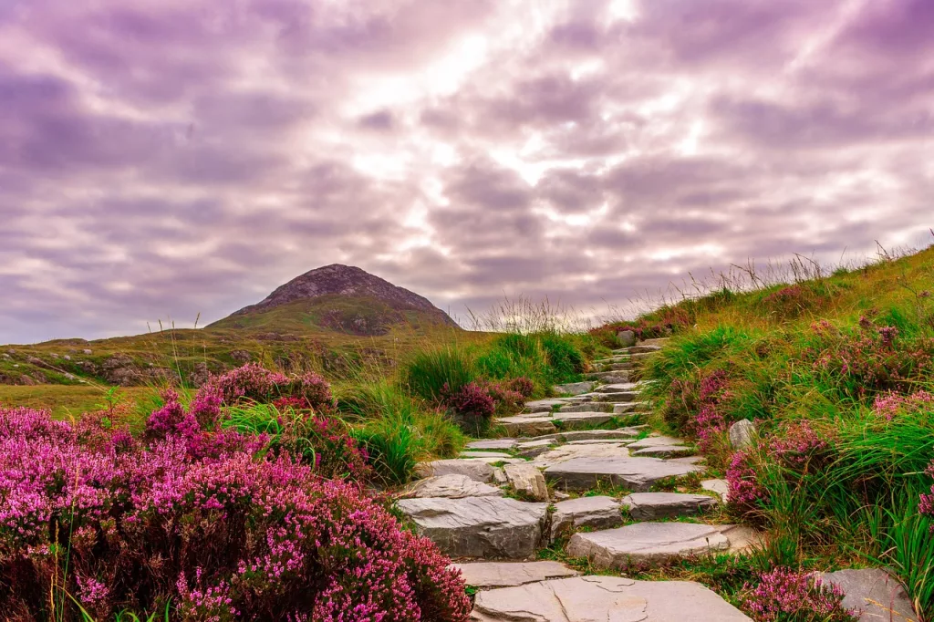 hiking route in ireland with a stone path