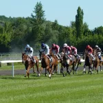 horse racing in ireland