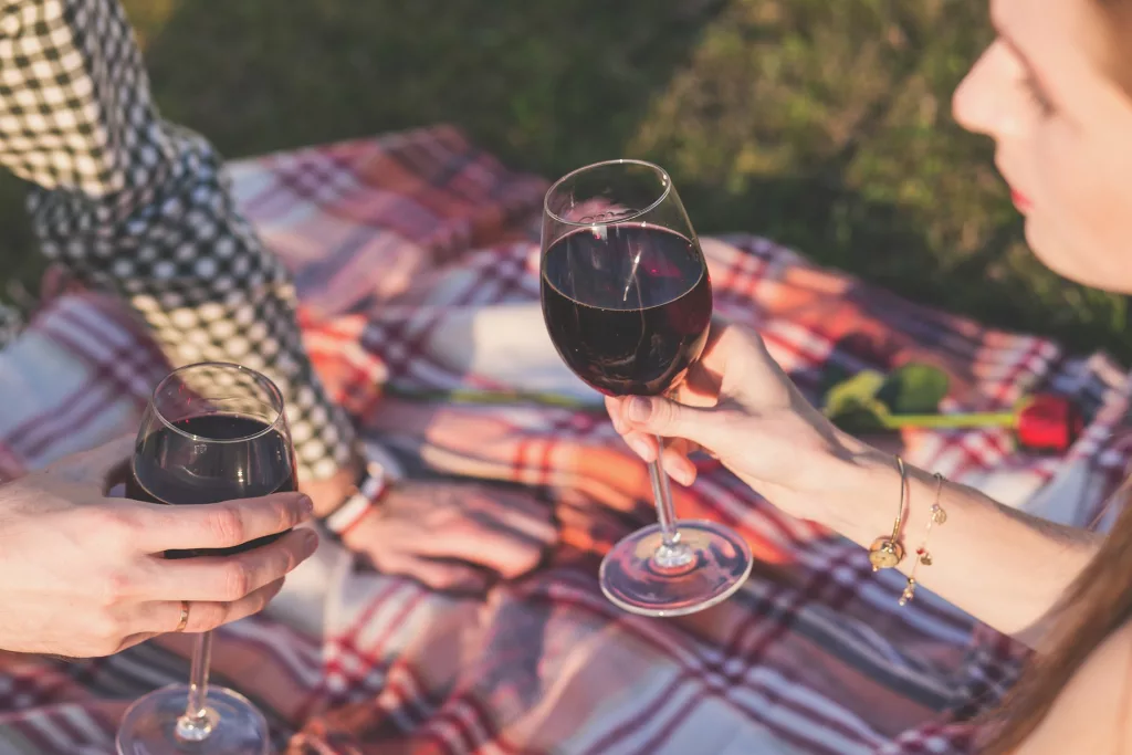 two people having a picnic and a glass of red wine